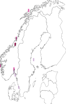 Fyndkarta för Leptochiton sarsi. Datakälla: GBIF