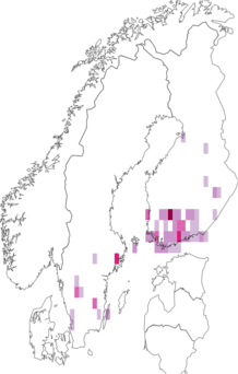 Fyndkarta för spetsvinklad videguldmal. Datakälla: GBIF