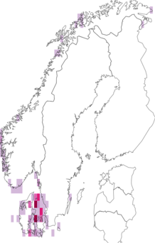 Fyndkarta för Hapalidiaceae. Datakälla: GBIF