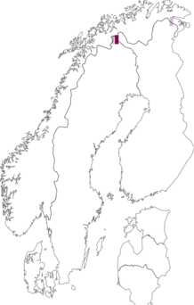 Fyndkarta för fjällsippedvärgmal. Datakälla: GBIF