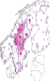 Fyndkarta för stengömmenattsländor. Datakälla: GBIF