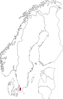 Fyndkarta för Tenthredo zona. Datakälla: GBIF