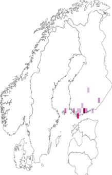 Fyndkarta för Lispe pygmaea. Datakälla: GBIF