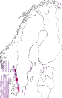 Fyndkarta för Pleuronectes. Datakälla: GBIF