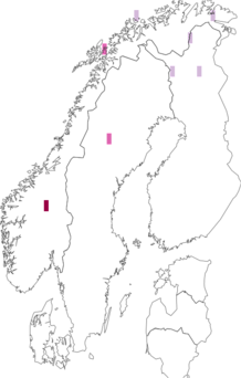 Fyndkarta för Apatania hispida. Datakälla: GBIF