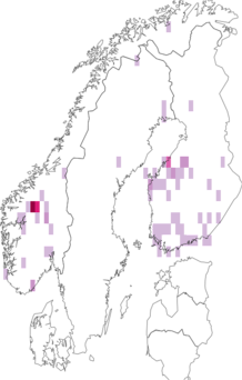 Fyndkarta för dvärgbjörkrullvecklare. Datakälla: GBIF
