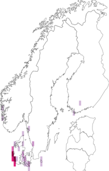 Fyndkarta för Rhodometra. Datakälla: GBIF