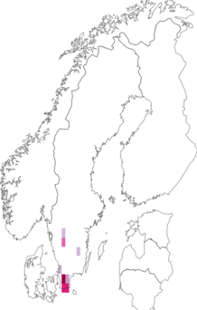 Fyndkarta för kalkängsblomfluga. Datakälla: GBIF