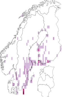 Kaarta Acronicta euphorbiae. Data source: GBIF