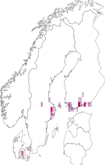 Fyndkarta för Anarsia. Datakälla: GBIF