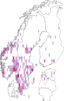 Fyndkarta för Plagiochilaceae. Datakälla: GBIF