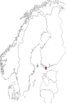 Kaarta Coleophora lassella. Data source: GBIF