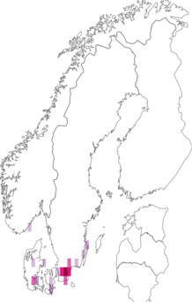 Levikukaart: Cortinarius vulpinus. Andmete allikas: GBIF