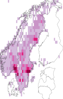 Levikukaart: Cladonia rangiferina. Andmete allikas: GBIF