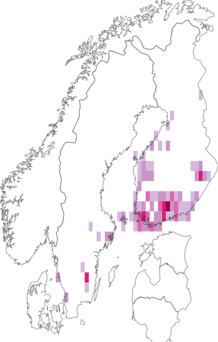 Kaarta Lyonetia ledi. Data source: GBIF