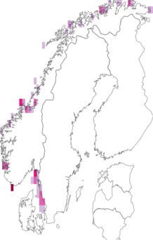 Fyndkarta för Urticina. Datakälla: GBIF