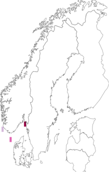 Fyndkarta för nordlig skinnormstjärna. Datakälla: GBIF