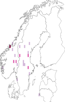 Fyndkarta för Chaenothecopsis nigra. Datakälla: GBIF