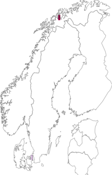 Fyndkarta för Pyramimonas orientalis. Datakälla: GBIF
