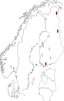 Fyndkarta för Campsicnemus alpinus. Datakälla: GBIF