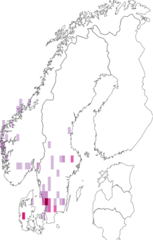 Fyndkarta för mellanvitmossa/snärjvitmossa. Datakälla: GBIF