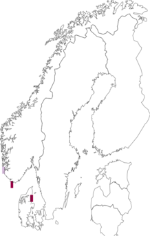Fyndkarta för Melanospora brevirostris. Datakälla: GBIF