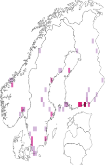 Fyndkarta för Psila. Datakälla: GBIF