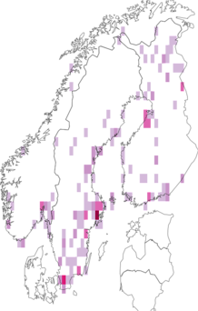 Fyndkarta för långnosig dammblomfluga. Datakälla: GBIF