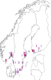 Fyndkarta för hibiskusar. Datakälla: GBIF