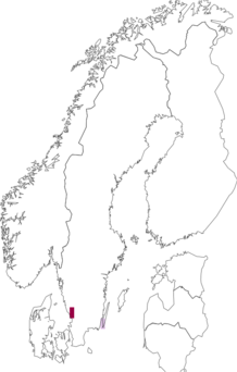 Fyndkarta för larvborstsvansar. Datakälla: GBIF