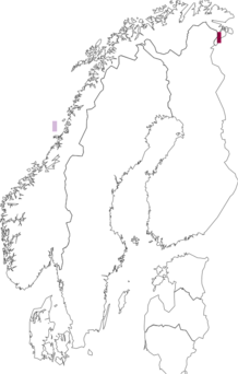 Kaarta Puccinellia finmarchica. Data source: GBIF