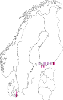 Fyndkarta för Scopula corrivalaria. Datakälla: GBIF