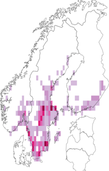 Kaarta Chrysanthia geniculata. Data source: GBIF