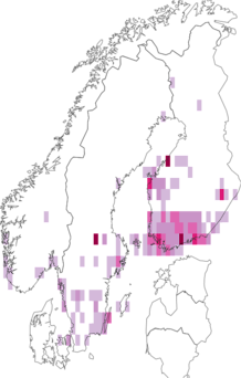 Fyndkarta för Borkhausenia. Datakälla: GBIF