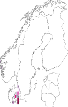 Fyndkarta för Acrochaetium parvulum. Datakälla: GBIF