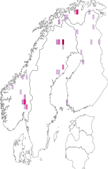 Fyndkarta för Apatania wallengreni. Datakälla: GBIF