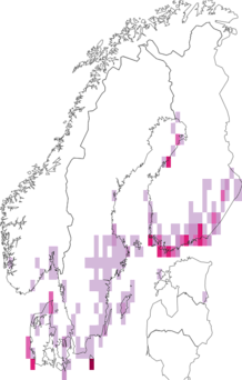 Kaarta Idaea sylvestraria. Data source: GBIF