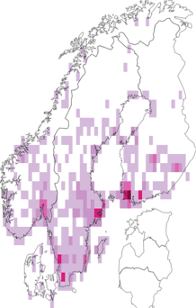 Fyndkarta för Mirinae. Datakälla: GBIF