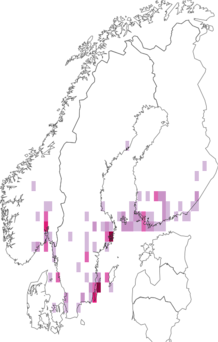 Fyndkarta för mindre rosenvecklare. Datakälla: GBIF