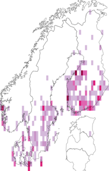 Kaarta Hypenodes humidalis. Data source: GBIF