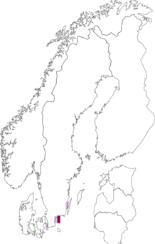 Fyndkarta för atlantisk stör. Datakälla: GBIF