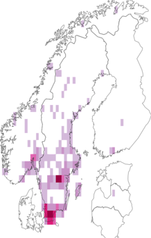 Fyndkarta för bärnstenssnäckor. Datakälla: GBIF