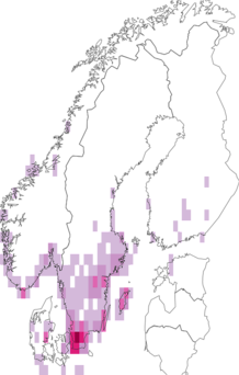 Fyndkarta för större kustflickslända. Datakälla: GBIF