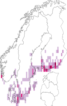 Fyndkarta för tvåfärgat ängsfly. Datakälla: GBIF
