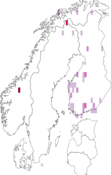 Fyndkarta för dvärgbjörksveckmal. Datakälla: GBIF