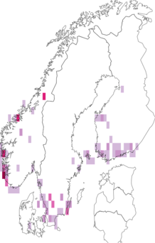 Fyndkarta för vithuvad skräpmal. Datakälla: GBIF