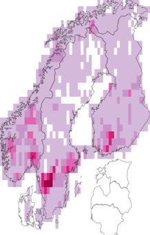 Kaarta Alchemilla vulgaris. Data source: GBIF