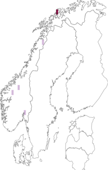 Fyndkarta för Paranura sexpunctata. Datakälla: GBIF