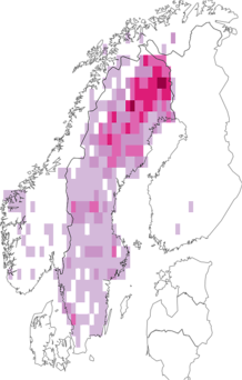 Fyndkarta för nordkrokmossor. Datakälla: GBIF
