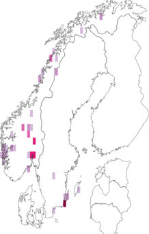 Fyndkarta för brunfjällig skivlav. Datakälla: GBIF